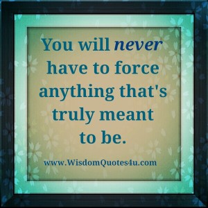 Never force anything that's truly meant to be - Wisdom Quotes