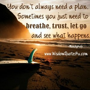 Sometimes you just need to trust, let go & see what happens - Wisdom Quotes